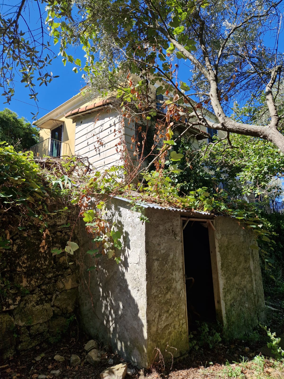 Laura-Immobiliare-vendita-camogli-san-rocco-esterno