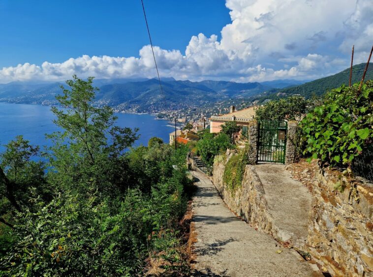 Laura-Immobiliare-vendita-camogli-san-rocco-vista